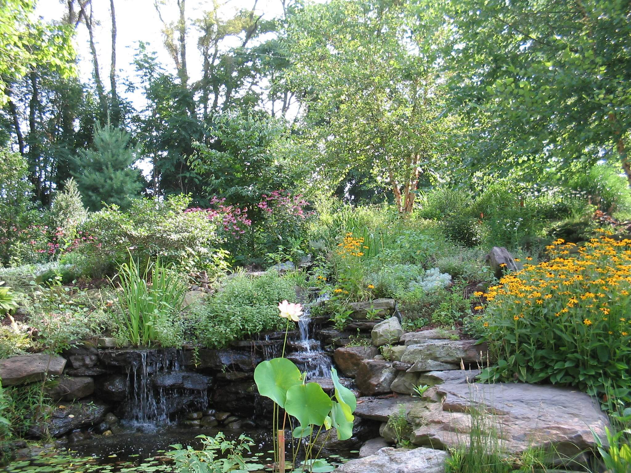 Landscape Water Features in MD, VA, and WV - Poole's Stone & Garden